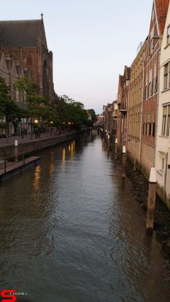 [Dier en Natuur] :: Rondje Dordt 29 juni 2019 (13)