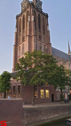 [Dier en Natuur] :: Rondje Dordt 29 juni 2019 (14)