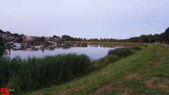 [Dier en Natuur] :: Rondje Dordt 29 juni 2019 (15)