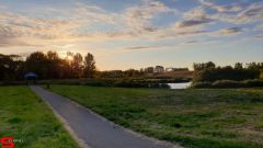 [Dier en Natuur] :: Wantijdijk 2 juli 2019 (5)