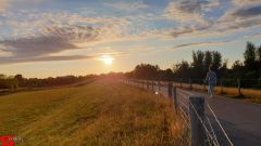 [Dier en Natuur] :: Wantijdijk 2 juli 2019 (6)