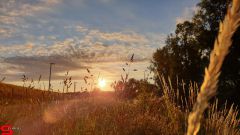 [Dier en Natuur] :: Wantijdijk 2 juli 2019 (7)