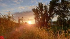 [Dier en Natuur] :: Wantijdijk 2 juli 2019 (11)
