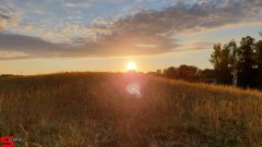 [Dier en Natuur] :: Wantijdijk 2 juli 2019 (14)