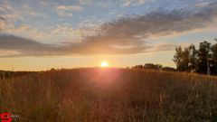 [Dier en Natuur] :: Wantijdijk 2 juli 2019 (15)