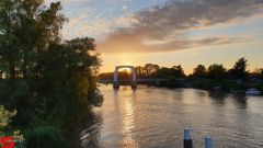 [Dier en Natuur] :: Wantijdijk 2 juli 2019 (17)