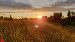 [Dier en Natuur] :: Wantijdijk 2 juli 2019 (19)