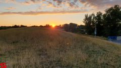 [Dier en Natuur] :: Wantijdijk 2 juli 2019 (8)