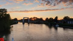 [Dier en Natuur] :: Wantijdijk 2 juli 2019 (10)