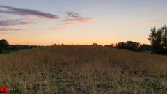 [Dier en Natuur] :: Wantijdijk 2 juli 2019 (14)
