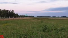 [Dier en Natuur] :: Wantijdijk 2 juli 2019 (15)