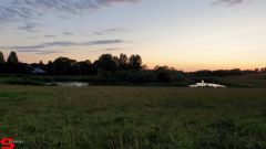 [Dier en Natuur] :: Wantijdijk 2 juli 2019 (17)