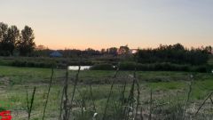 [Dier en Natuur] :: Wantijdijk 2 juli 2019 (18)