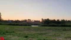 [Dier en Natuur] :: Wantijdijk 2 juli 2019 (19)