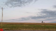 [Dier en Natuur] :: Wantijdijk 2 juli 2019 (5)