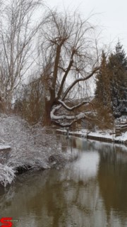 [Dier en Natuur] :: Lekker laagje Sneeuw (3)