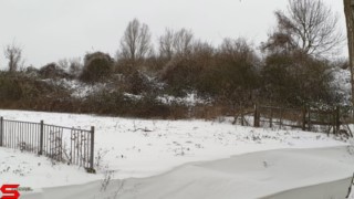 [Dier en Natuur] :: Lekker laagje Sneeuw (4)