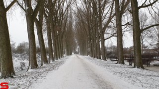 07 Februari 2021 :: Lekker laagje Sneeuw 07 Februari 2021 :: Lekker laagje Sneeuw