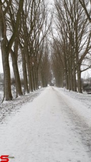[Dier en Natuur] :: Lekker laagje Sneeuw (6)