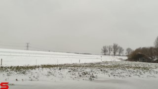 [Dier en Natuur] :: Lekker laagje Sneeuw (7)