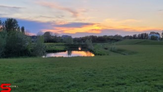 [Dier en Natuur] :: Wantijdijk 18 mei 2021 (9)