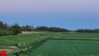 [Dier en Natuur] :: Wantijdijk 18 mei 2021 (10)