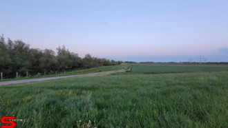 [Dier en Natuur] :: Wantijdijk 18 mei 2021 (11)
