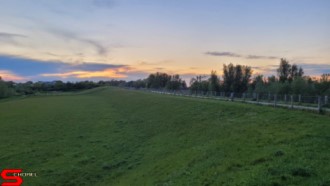 [Dier en Natuur] :: Wantijdijk 18 mei 2021 (12)