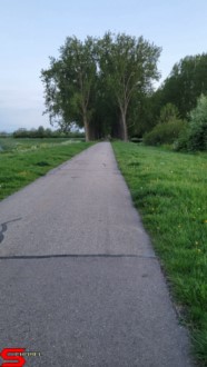 [Dier en Natuur] :: Wantijdijk 18 mei 2021 (14)