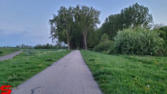 [Dier en Natuur] :: Wantijdijk 18 mei 2021 (15)