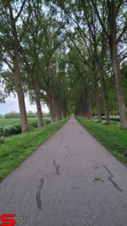 [Dier en Natuur] :: Wantijdijk 18 mei 2021 (16)