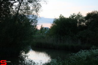 [Dier en Natuur] :: Wantijdijk 18 mei 2021 (19)