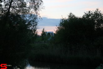 [Dier en Natuur] :: Wantijdijk 18 mei 2021 (5)