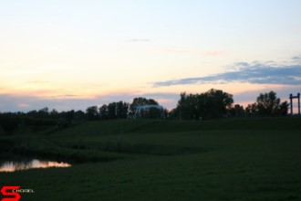 [Dier en Natuur] :: Wantijdijk 18 mei 2021 (6)