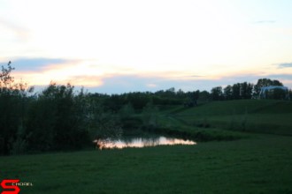 [Dier en Natuur] :: Wantijdijk 18 mei 2021 (7)