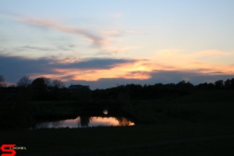 [Dier en Natuur] :: Wantijdijk 18 mei 2021 (10)