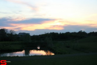 [Dier en Natuur] :: Wantijdijk 18 mei 2021 (12)