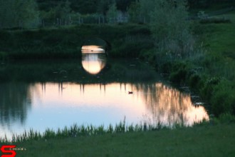 [Dier en Natuur] :: Wantijdijk 18 mei 2021 (15)