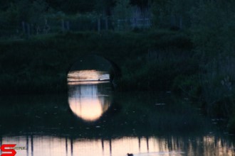 [Dier en Natuur] :: Wantijdijk 18 mei 2021 (16)