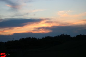 [Dier en Natuur] :: Wantijdijk 18 mei 2021 (17)