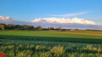 [Dier en Natuur] :: Geniet mee vanaf de Wantijdijk (4)