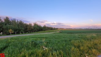 [Dier en Natuur] :: Geniet mee vanaf de Wantijdijk (10)