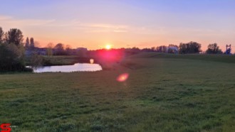 [Dier en Natuur] :: Geniet mee vanaf de Wantijdijk (11)