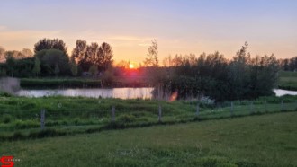 [Dier en Natuur] :: Geniet mee vanaf de Wantijdijk (12)