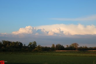 [Dier en Natuur] :: Geniet mee vanaf de Wantijdijk (14)