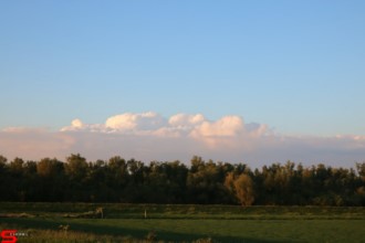 [Dier en Natuur] :: Geniet mee vanaf de Wantijdijk (15)