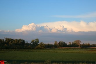 19 Mei 2021 :: Geniet mee vanaf de Wantijdijk 19 Mei 2021 :: Geniet mee vanaf de Wantijdijk