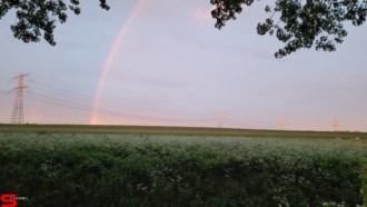 [Dier en Natuur] :: Wantijdijk 24 mei 2021 (3)