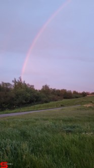 [Dier en Natuur] :: Wantijdijk 24 mei 2021 (5)