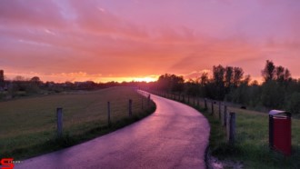 [Dier en Natuur] :: Wantijdijk 24 mei 2021 (6)